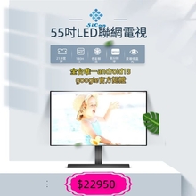 Google認證TV  55型安卓智慧連網液晶顯示器